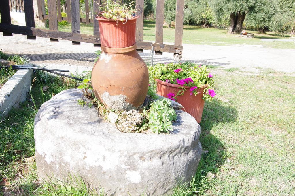 فندق Athina كوينيرا المظهر الخارجي الصورة
