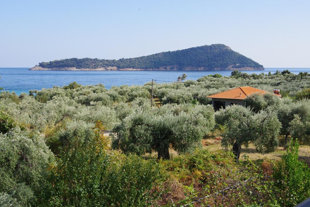 فندق Athina كوينيرا المظهر الخارجي الصورة