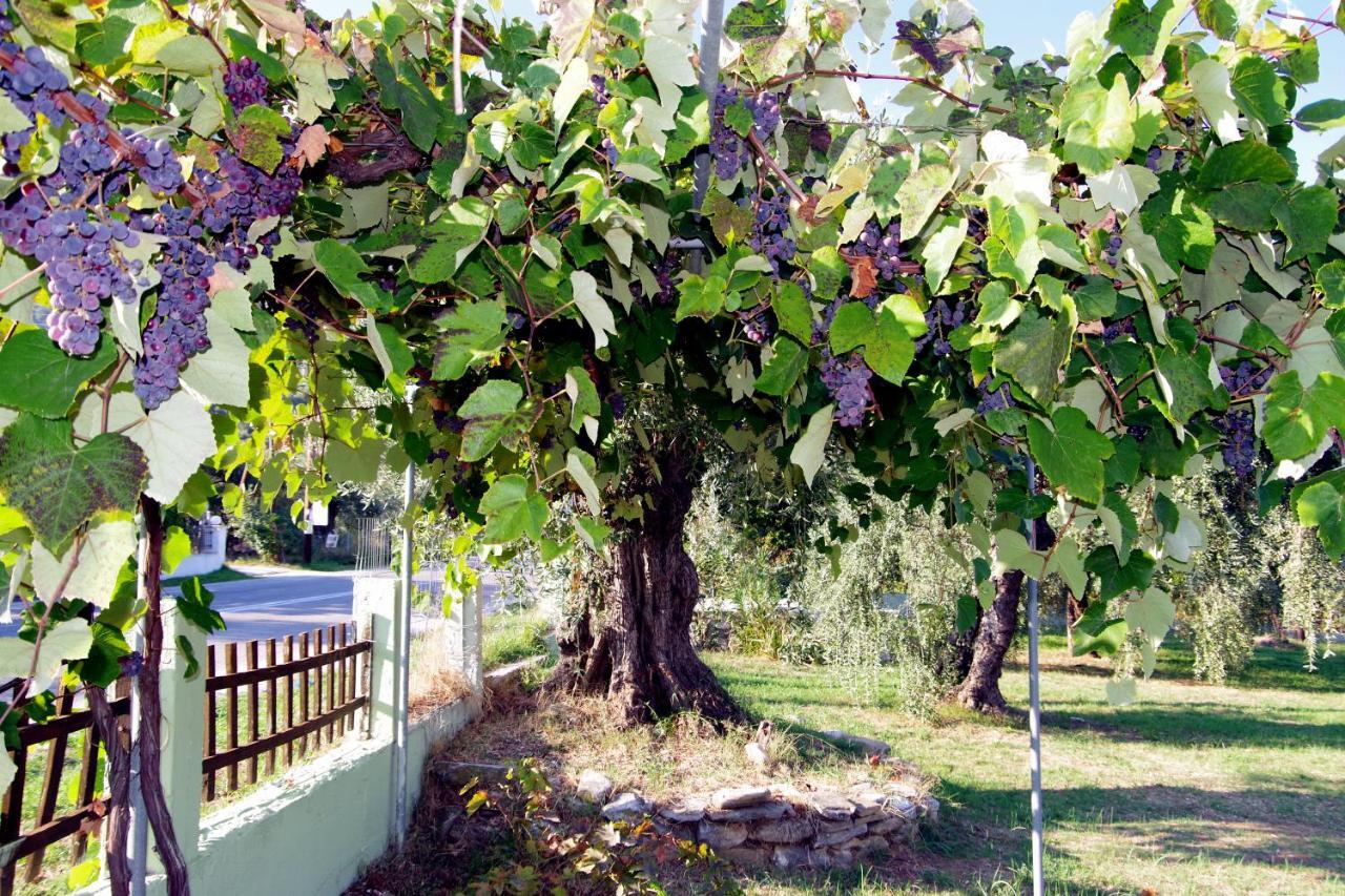 فندق Athina كوينيرا المظهر الخارجي الصورة